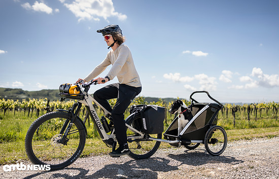 Cargo Cycling 5