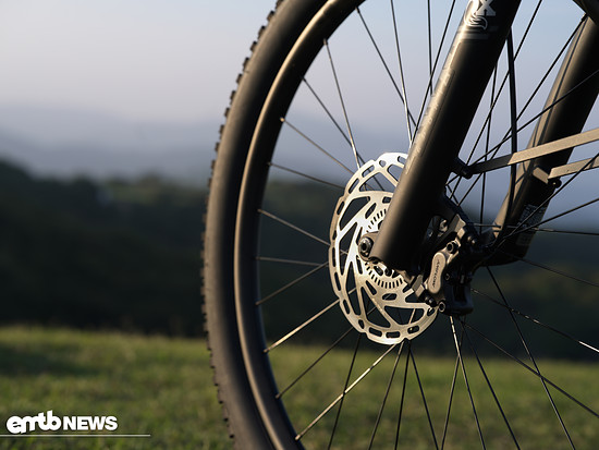 Front disc brakes