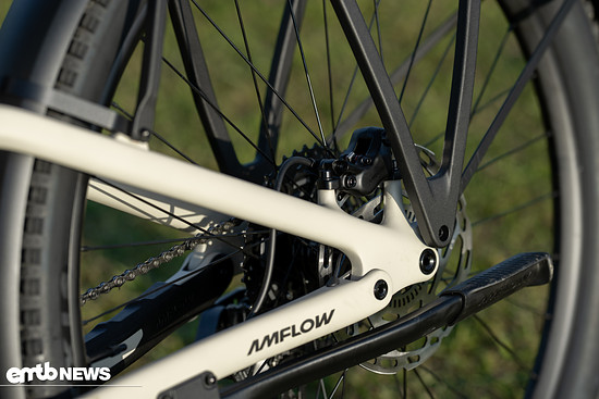 Rear disc brakes