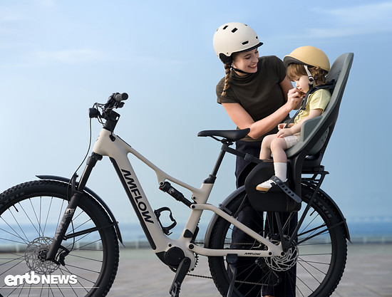 Child Safety Seats