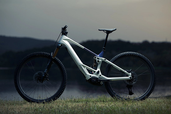 Wild TR_Bike Check - 3000 x 200016.jpg