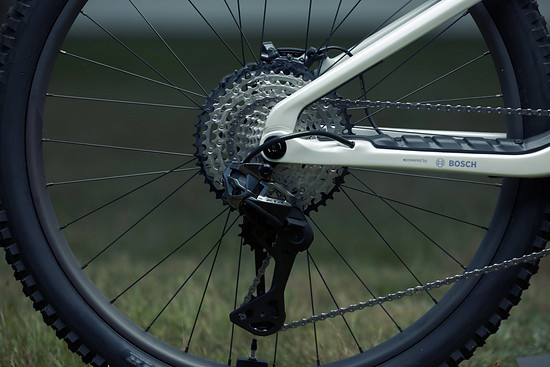 Wild TR_Bike Check - 3000 x 200014.jpg