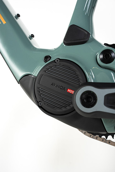 Beim Antrieb setzt Nukeproof fast durchgehend auf den Avinox M2S.